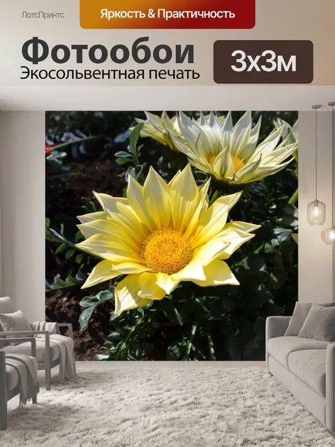 Фотообои Ваза