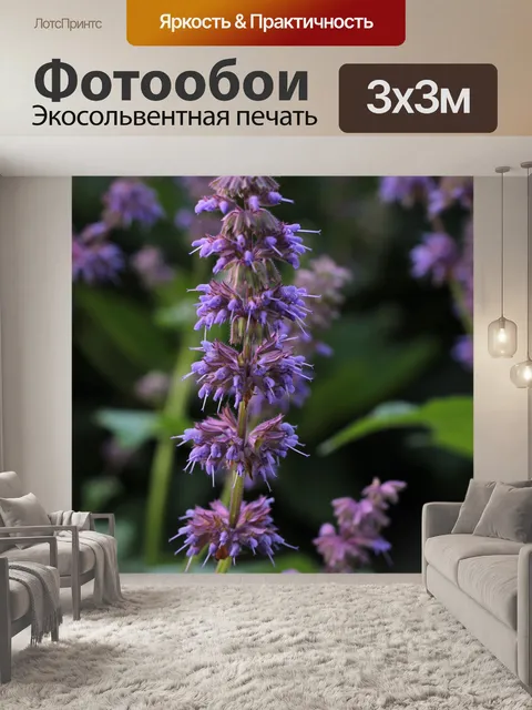 Фотообои Шалфей зеленый