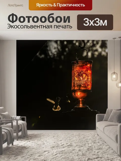 Фотообои Вечерний свет Hummingbird