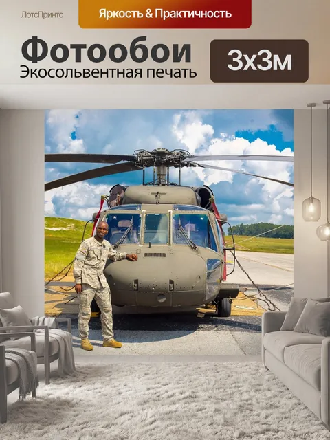Фотообои Чёрный ястреб