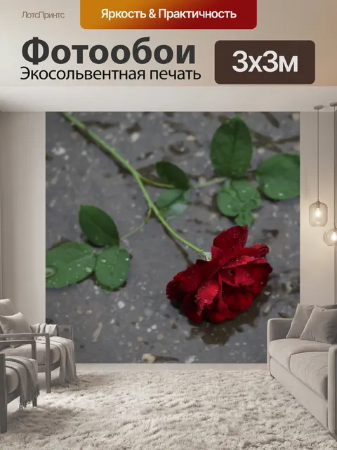 Фотообои Красная роза в дожде