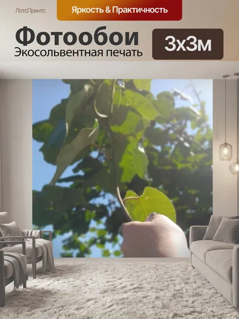 Фотообои Ветвь