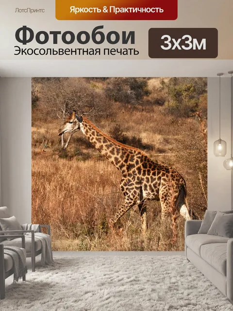Фотообои высокий жираф шагает