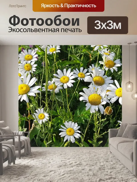 Фотообои Ромашки
