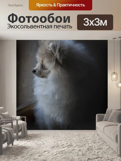 Фотообои Собака