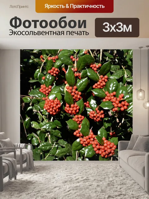 Фотообои Холли