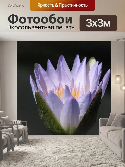 Фотообои Водяная лилия
