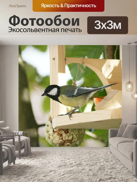 Фотообои Большая синица