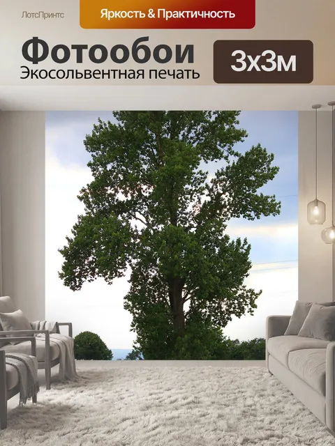Фотообои Деревья