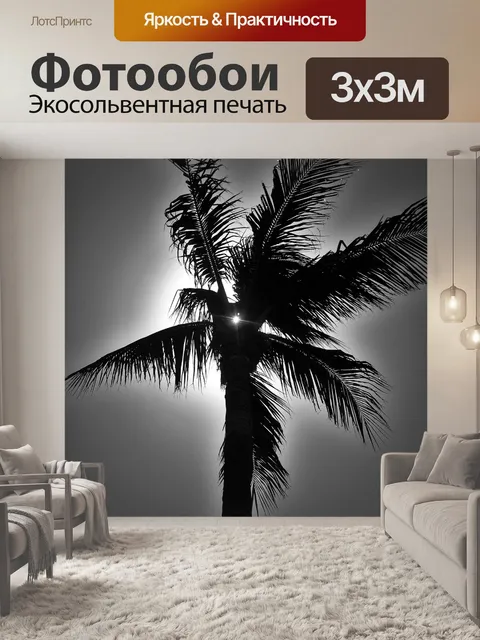 Фотообои Пальма в черно-белом
