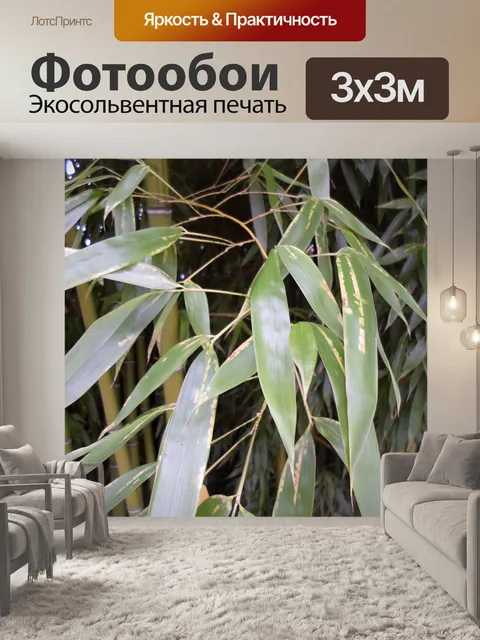Фотообои Бамбук, зеленая листва, растительность