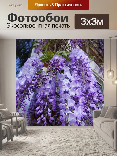 Фотообои Глициния