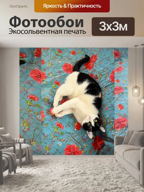 Фотообои Играют кошки