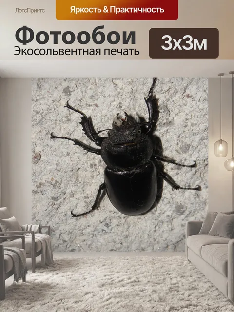 Фотообои Жук-олень