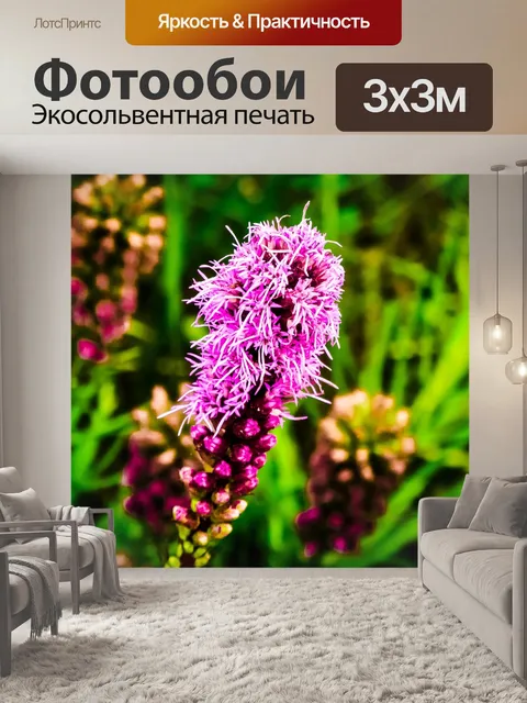 Фотообои Веселое перо