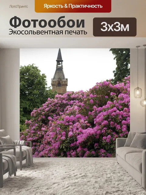 Фотообои Рододендрон