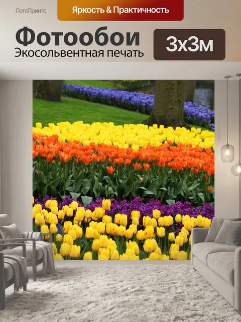 Фотообои тюльпаны и гиацинты