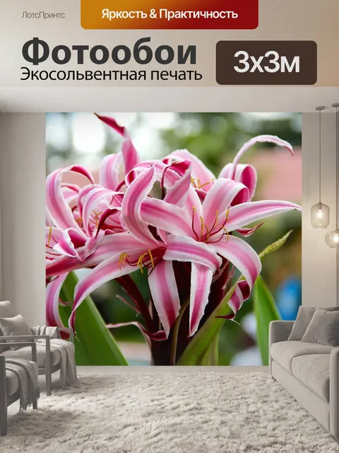 Фотообои Лили
