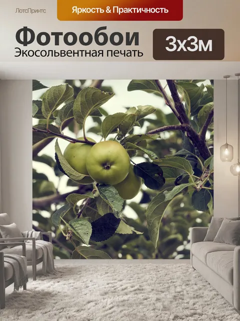 Фотообои Яблоки на ветке