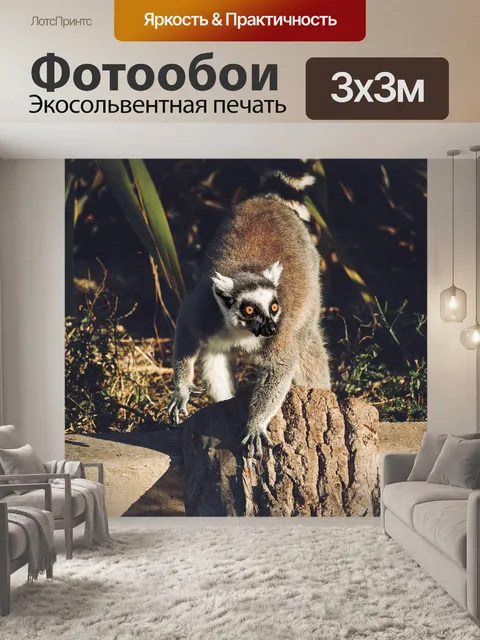 Фотообои Лемур