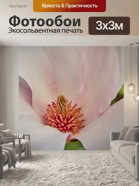 Фотообои Тюльпан магнолия