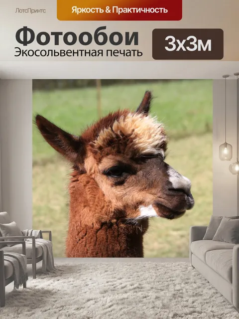 Фотообои Альпака