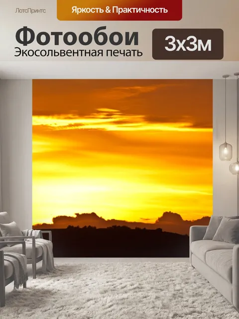 Фотообои Пение птиц на рассвете