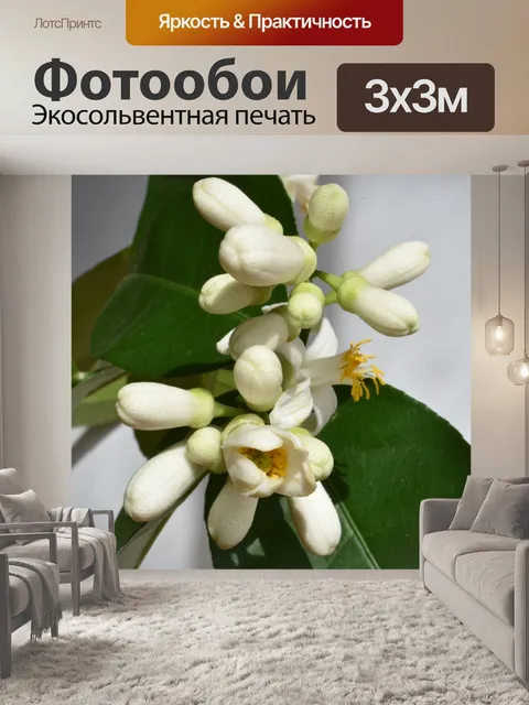 Фотообои Лимон