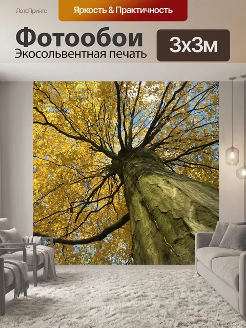 Фотообои Осень