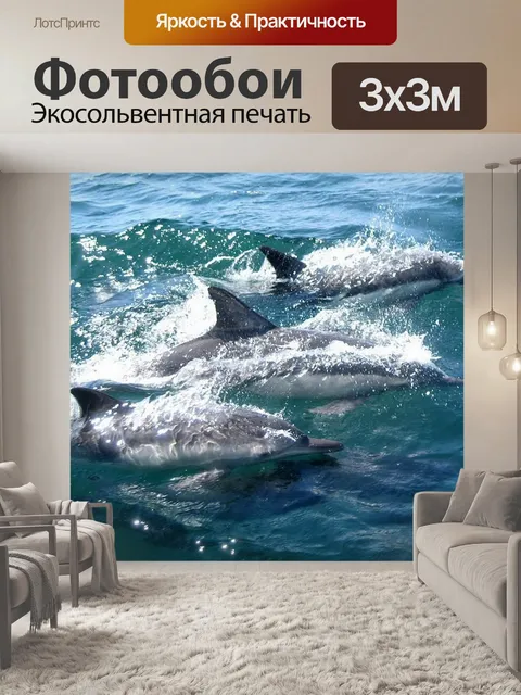 Фотообои Дельфины