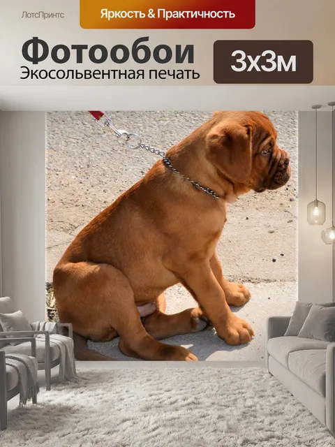Фотообои Бордоский щенка 2