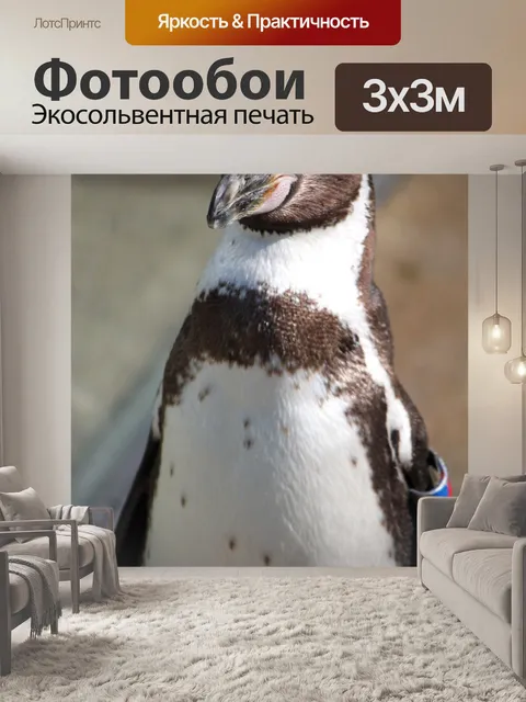 Фотообои Пингвин