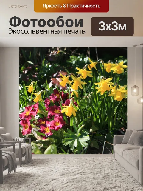 Фотообои Одуванчики