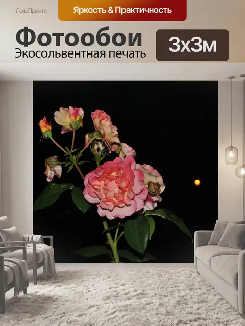 Фотообои Цветок