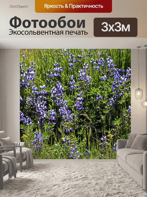 Фотообои Фиолетовый Полевые цветы