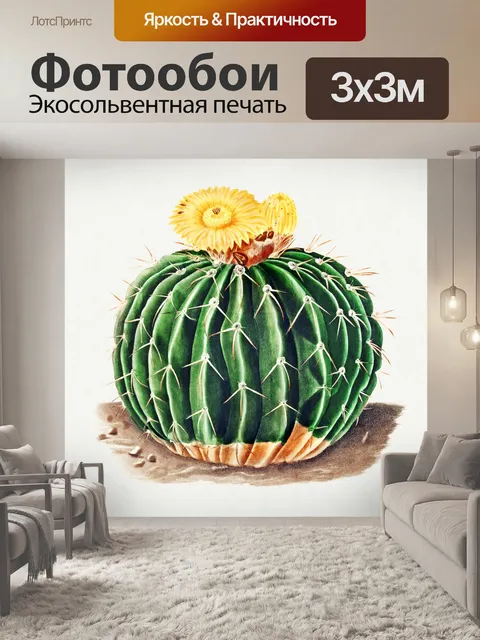 Фотообои Кактус cacti art vintage