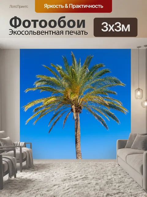Фотообои Пальма и голубое небо