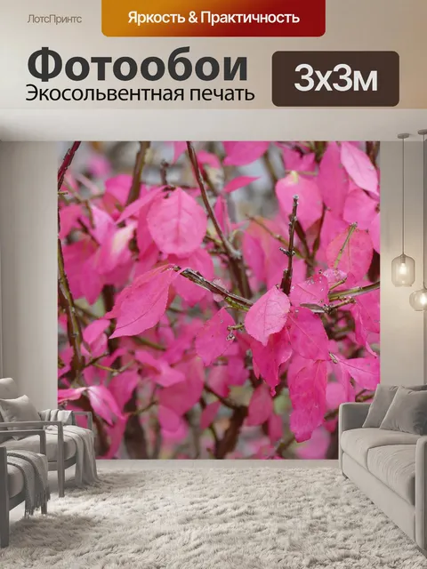 Фотообои Розовый