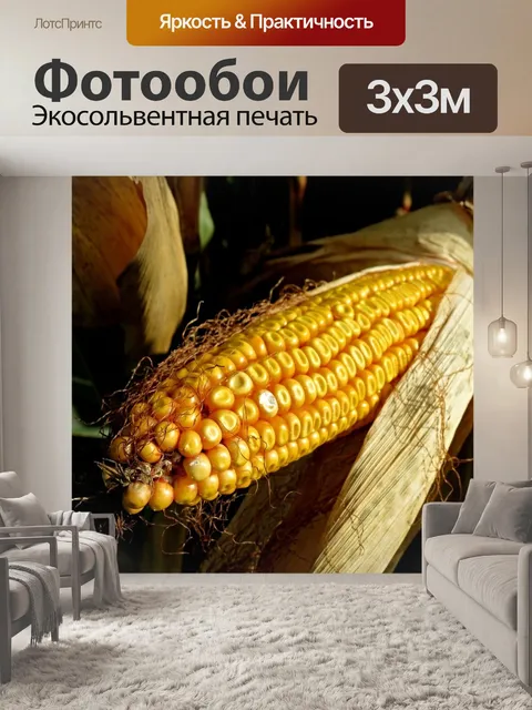 Фотообои Кукуруза в початках