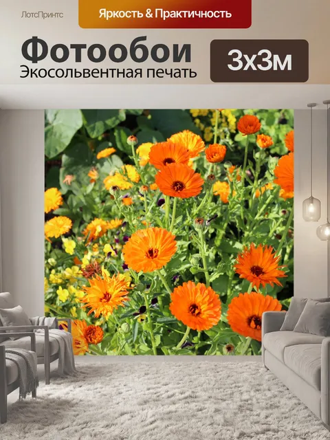 Фотообои Оранжевые цветы