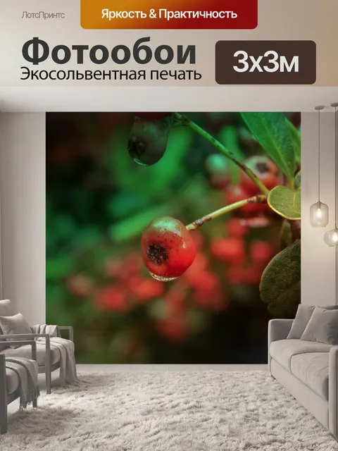 Фотообои Ягода