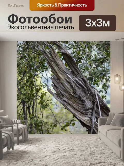 Фотообои расщепленный ствол дерева