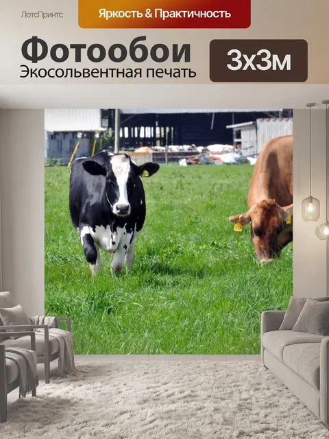 Фотообои Гольштейн и Джерси Корова