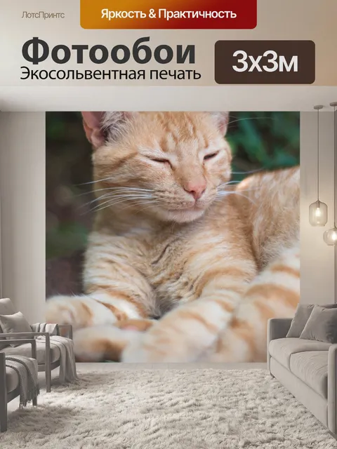 Фотообои Кошки