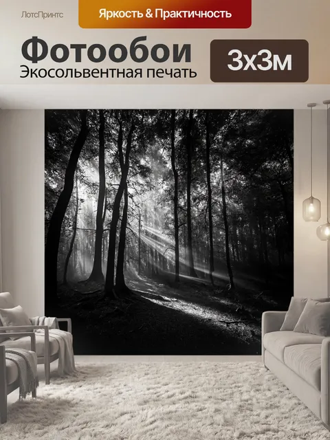 Фотообои черно-белый: тёмные лесные глубины, пронизанные лучами света, создают магическую атмосферу