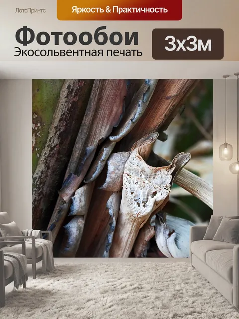 Фотообои Истлевшие части тропических растений