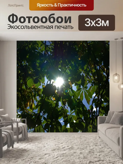 Фотообои Солнце