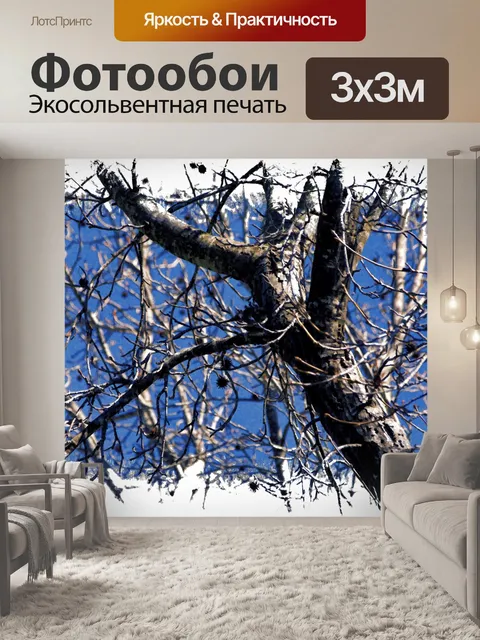 Фотообои Ветви дерева