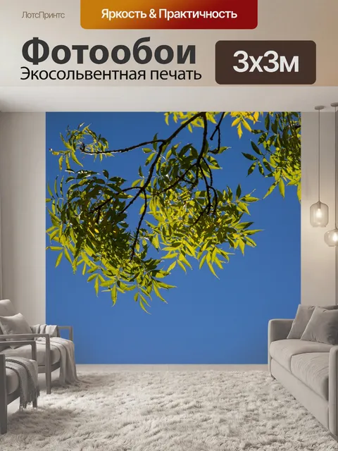 Фотообои Зеленые листья