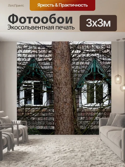 Фотообои Окна Чердак